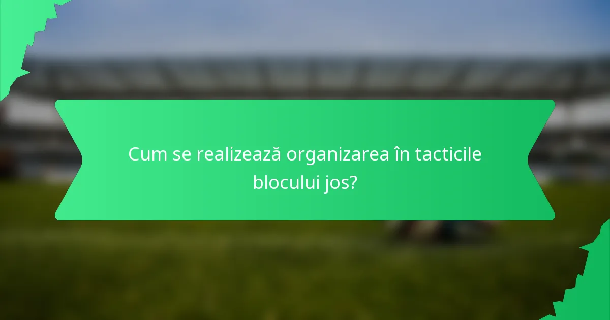 Cum se realizează organizarea în tacticile blocului jos?